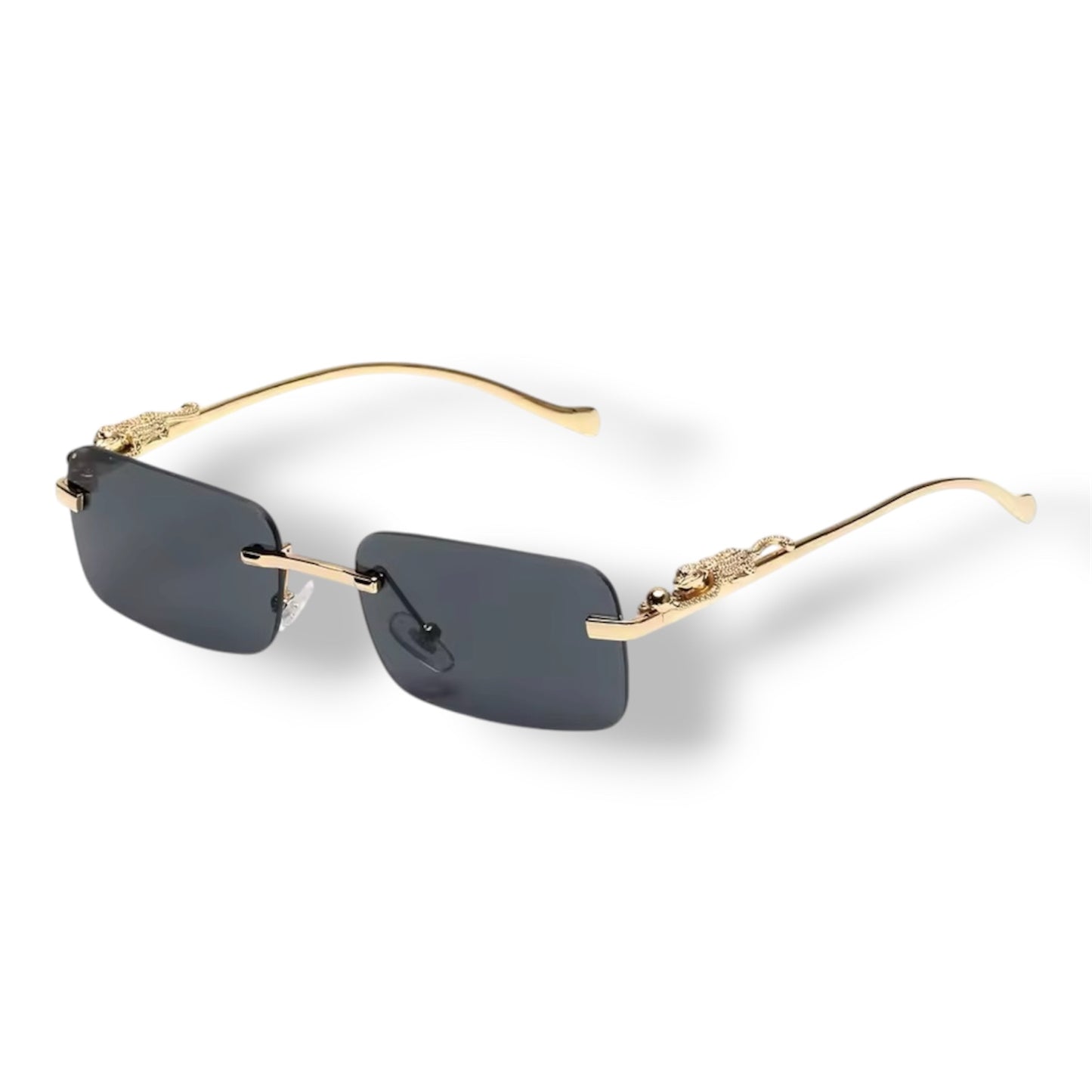 Lunette PSD