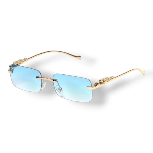 Lunette PSD