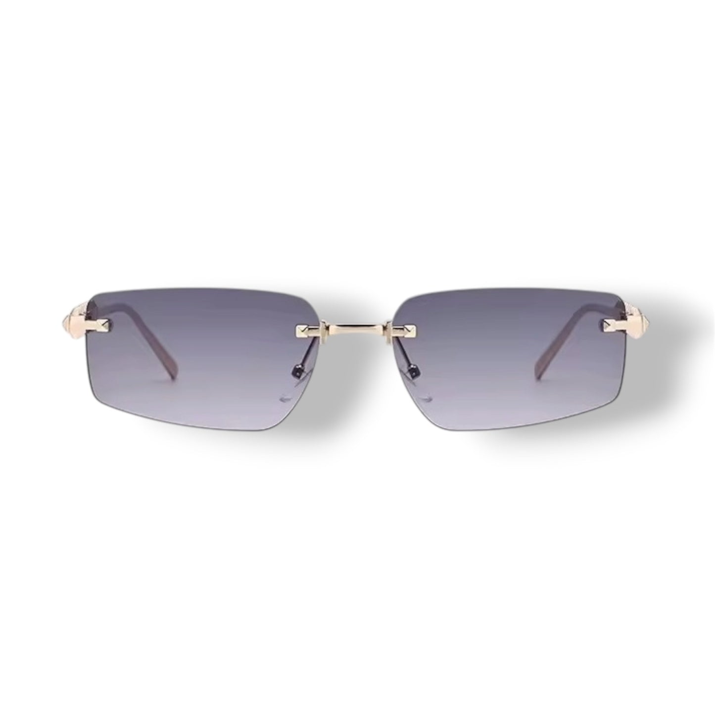 Lunette ZEBRA