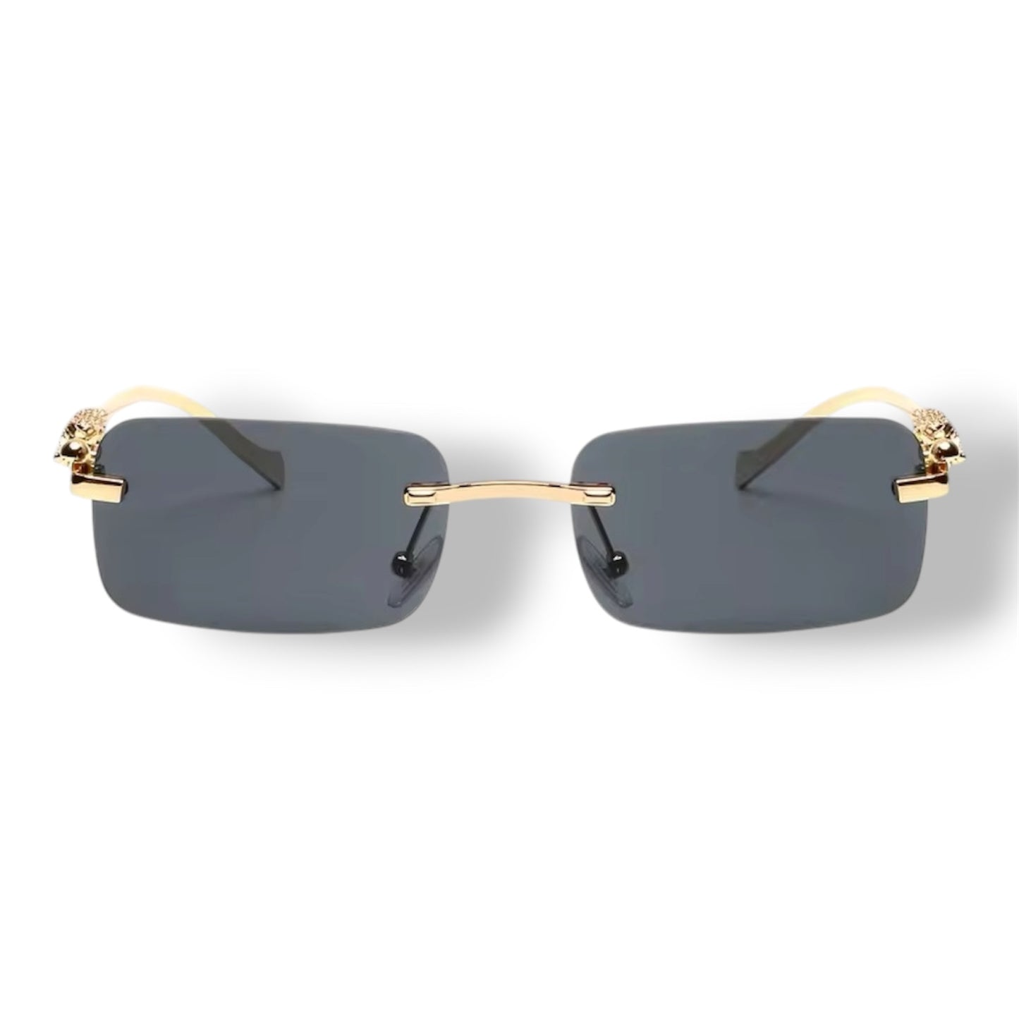 Lunette PSD